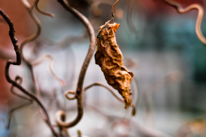 梦想启航!EWC世界电竞杯冠军榜,见证电竞力量的崛起 梦想启航!EWC世界电竞杯冠军榜,见证电竞力量的崛起